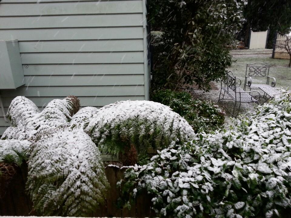Hotel Avonleigh Katoomba Exteriör bild